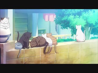 sakurasou kitty [5 of 24] season 1, episode 5